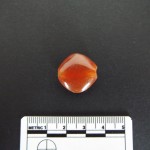 Carnelian bead from burial deposits under room floor