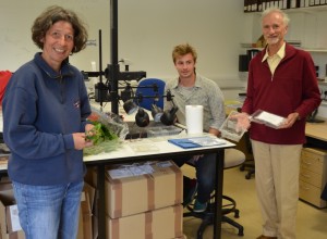 Beatrice Henricot, Roger Coook and Oli Ellingham in the lab with a collectuion of powdery mildew samples collect at RHS Wisley and Reading University Harris Garden. 