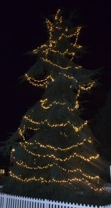 2014 Christmas Tree at UoR