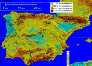 Total modelled plant species per 1km grid cell over the Iberian Peninsula