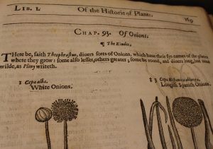 Gerard's Herball had much to say about Onions (@Aristolochia)