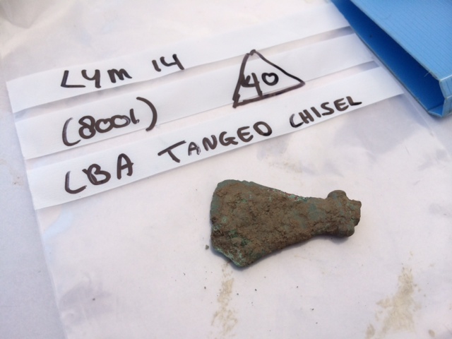 A Bronze Age tanged chisel found in Trench 1