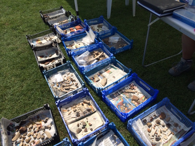 LYM13 finds drying in the fabulous sunshine - better for finds drying than for the diggers!