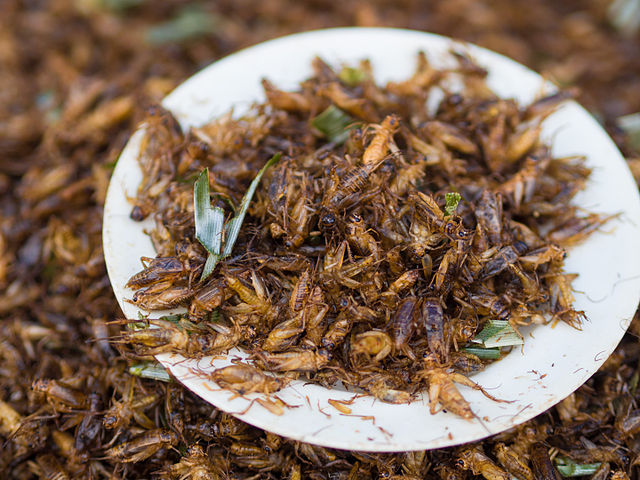 Image of Deep-fried house crickets sold as food at a market in Thailand by Takeaway