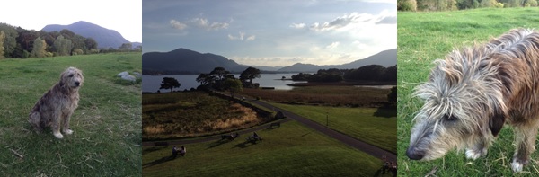 The conference's beautiful setting at Killarney. And of course, Sadhbh and Saoirse!