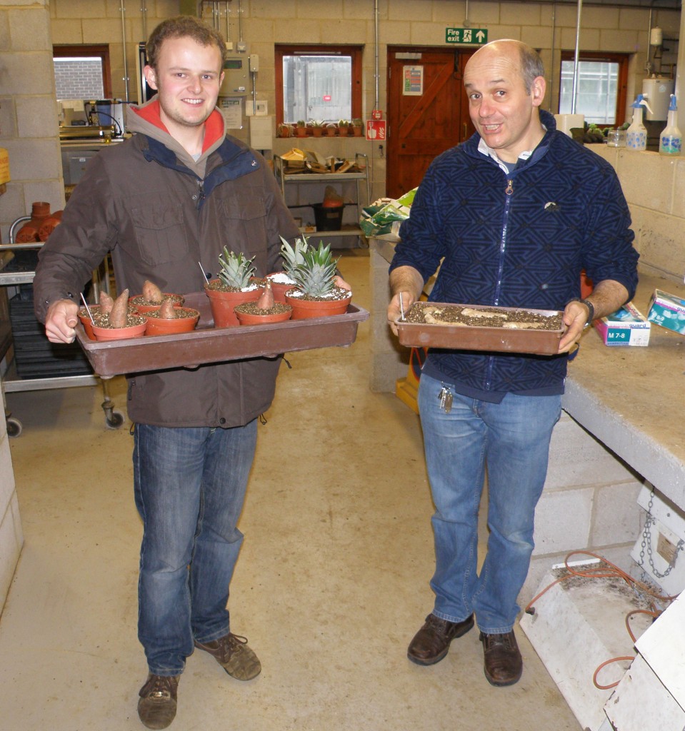 Justin and David with freshly planted cuttings and seeds in the potting shed
