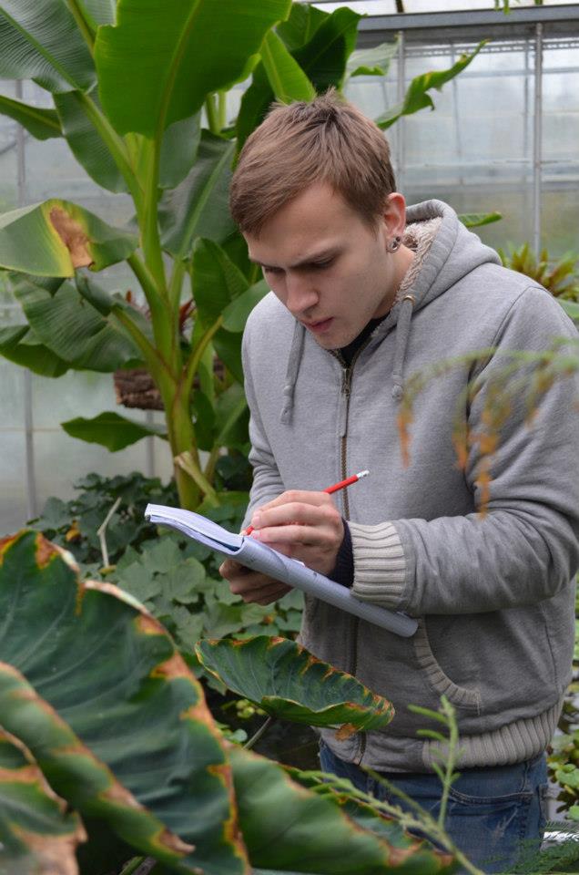 Sam Hickling recording pests on Taro in the crops bed.