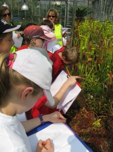 Aldryngton pupils sketching the carnivorous plants