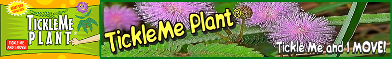 TickleMe Plant Banner