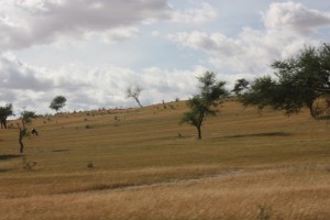 Arid Zone in Nigeria
