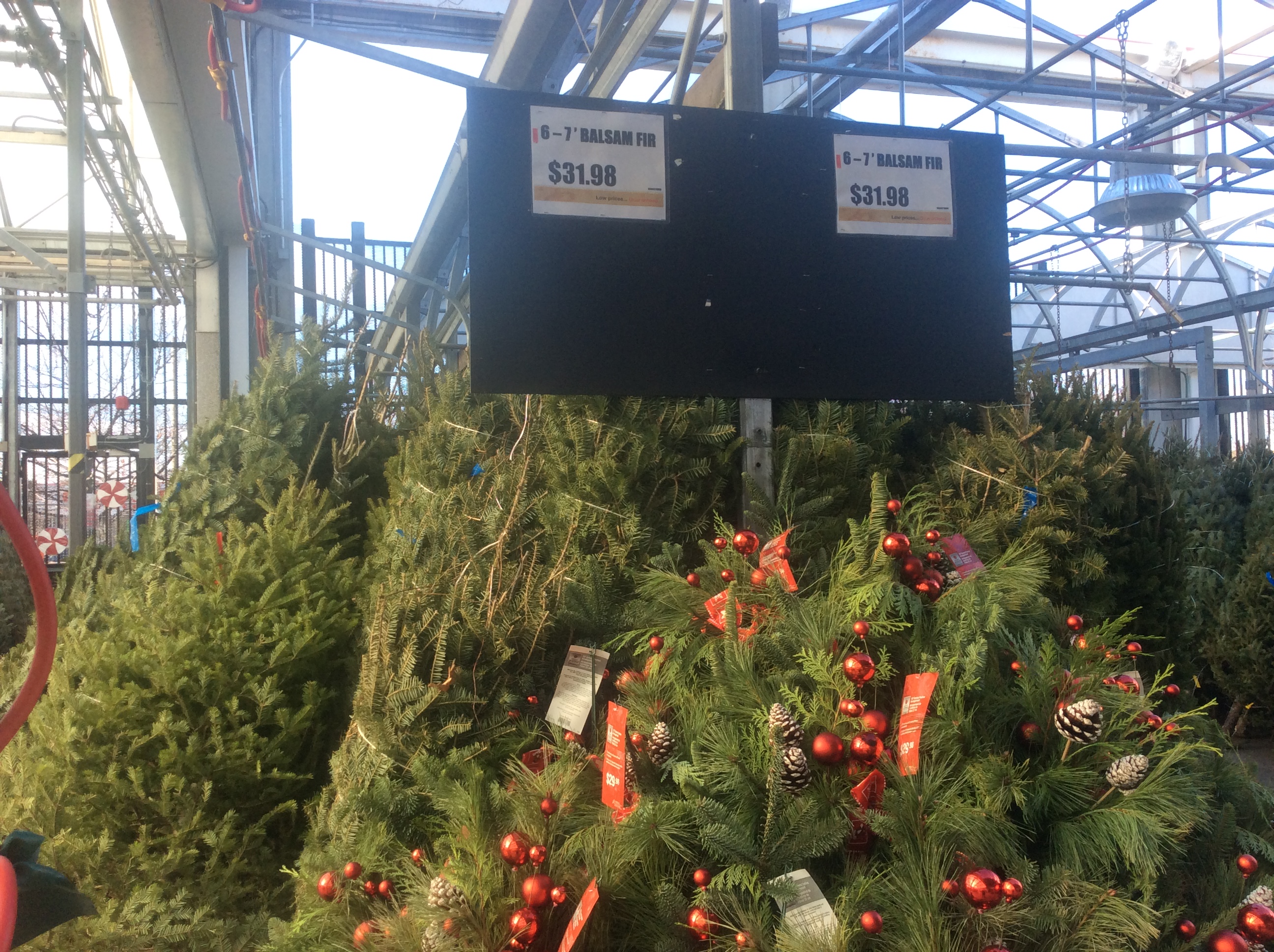 Balsam fir trees and mixed greenery decorations