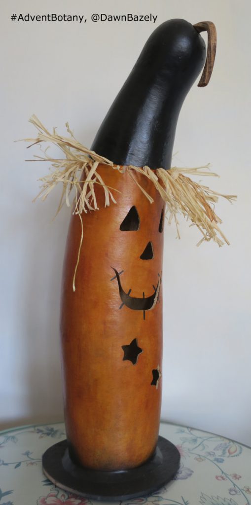 One gourd disguised as another!