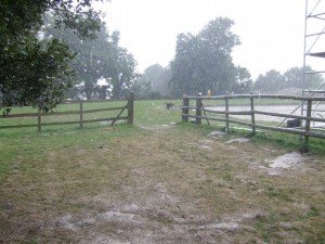 Rained off in 2008