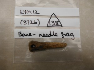 Bone needle