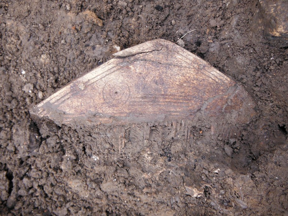 The triangular bone comb in the ground, just before it was lifted