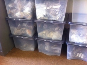 Crates of finds in various stages of processing stacked up in my office - looking forward to having the space back!