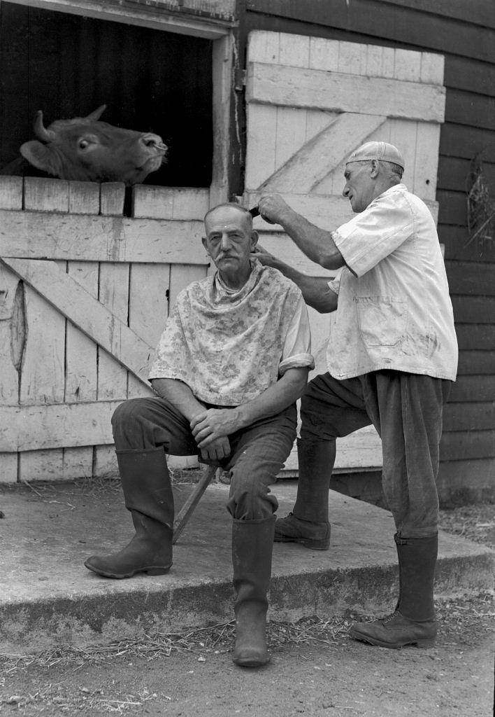 Fred Digby a cowman/hairdresser cutting hair in a farmyard, Fairstead, Essex (1940s/1950s). Ref: P TAR PH1/3/10/9/209/1
