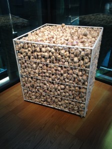 Food exhibition - garlic installation