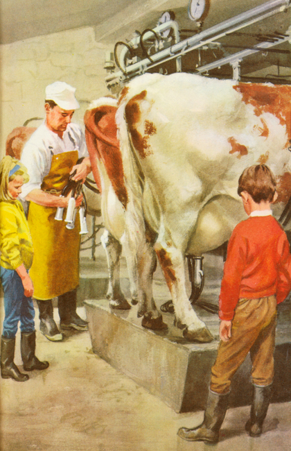 Milking the cows from 'Fun at the Farm'. Authored by William Murray and Illustrated by Harry Wingfield. Copyright Ladybird Books Ltd 1965.