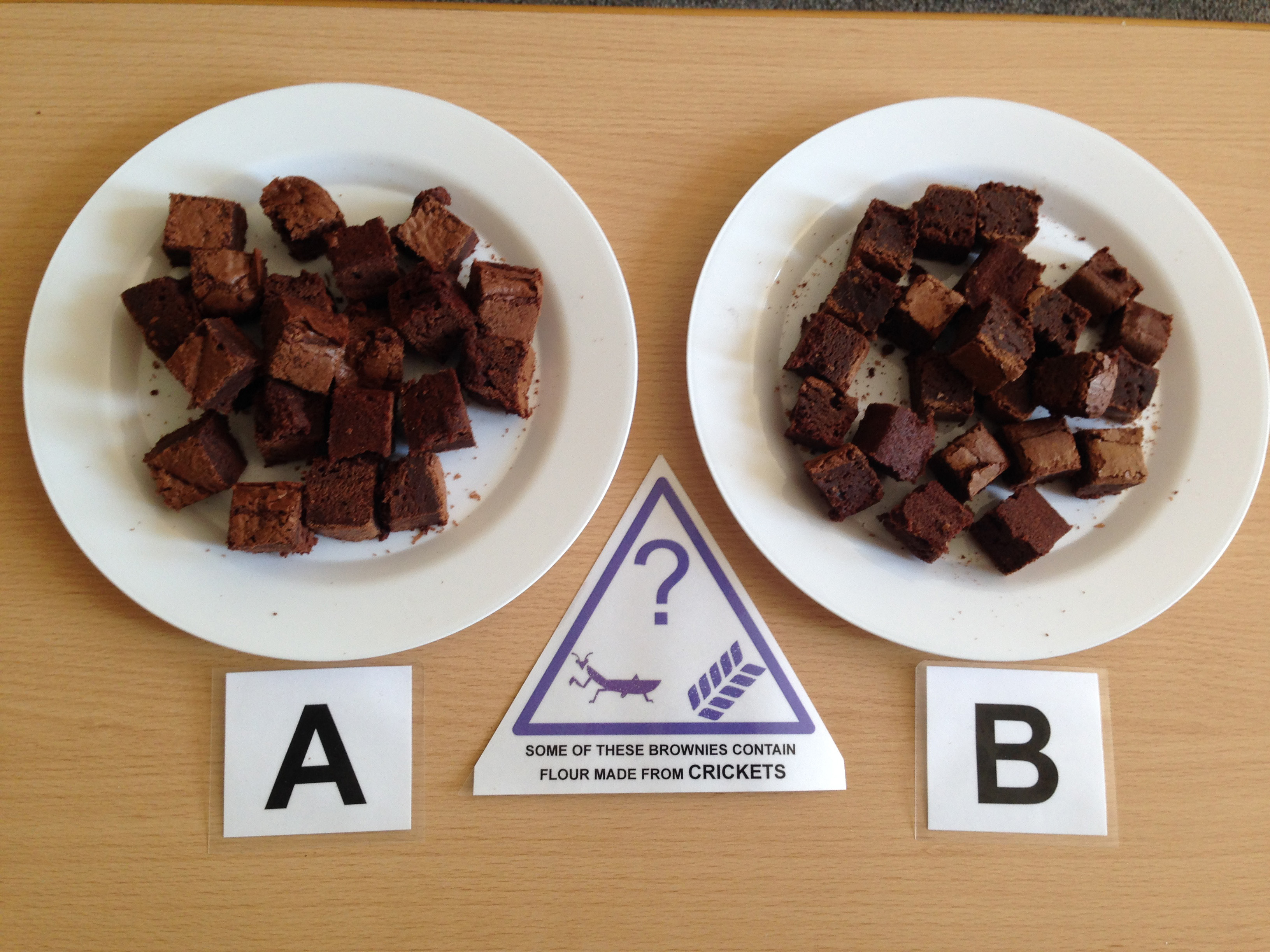 Blind Tasting with normal and cricket flour brownies