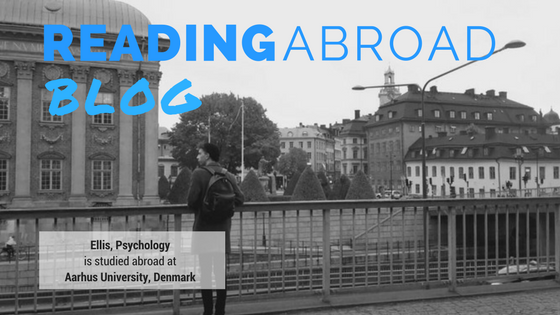 University of Reading student studying abroad in Denmark for a Semester