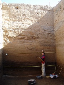 5.Drawing 5 metre high sections. A few days previous, there was a large snake in one of the holes to the top! (photo: Ben van den Bercken)