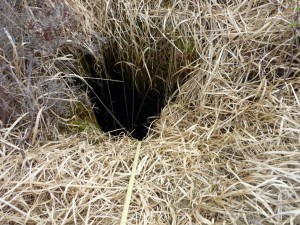 A Swallow Hole on Annaghbeg Bog. Do not fall in one of these!