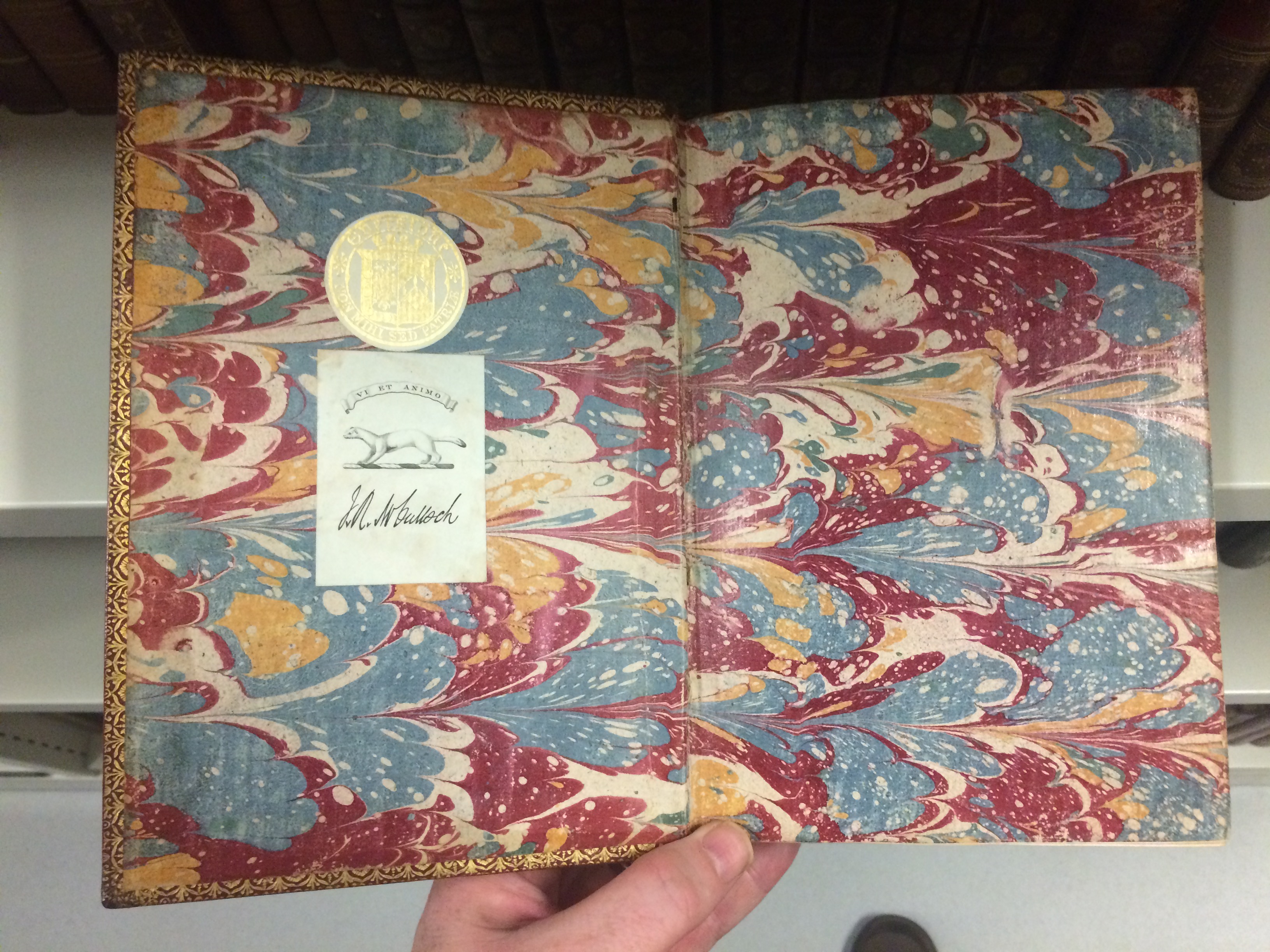 Marbled pages of a book.