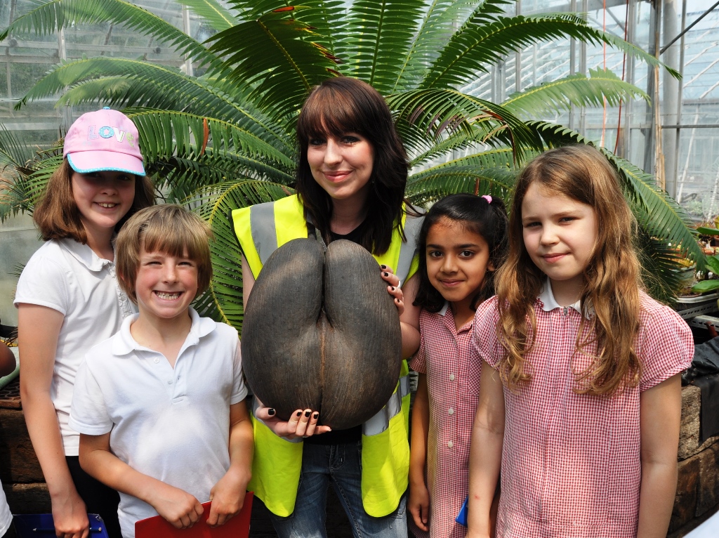Miss Blackaby and Aldryngton pupils accompanied by the double coconut also known as the Coco-de-Mer 