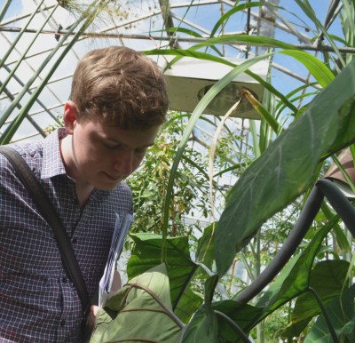 Richard getting to know the plants in the glasshouse
