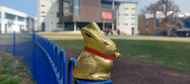 Chocolate Easter Bunny outside the Carrington Building